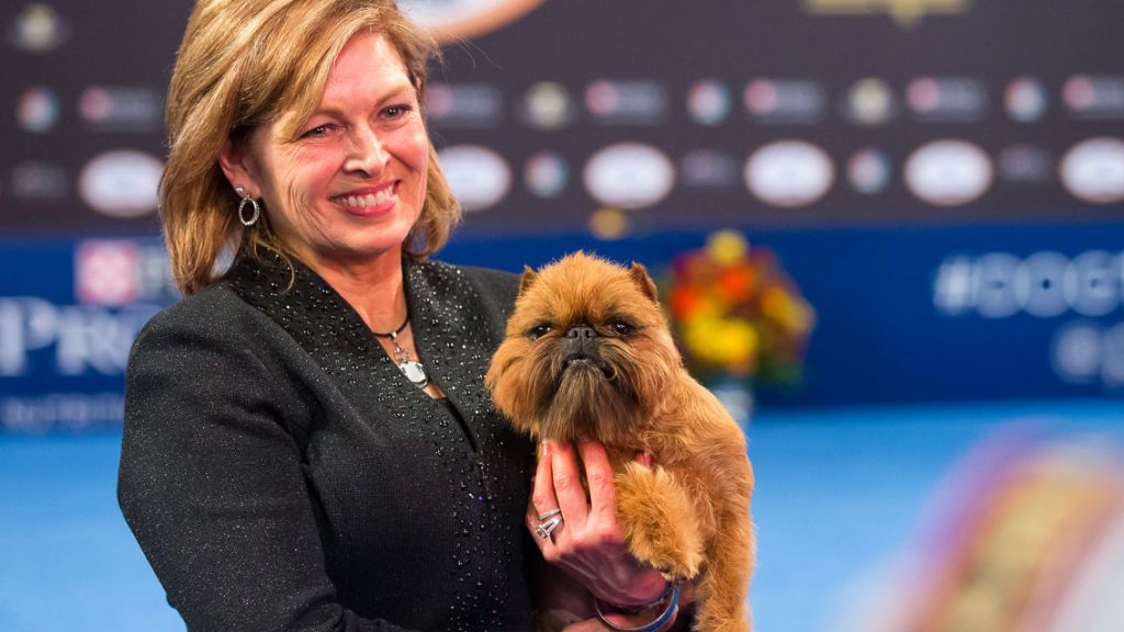 National dog show 2024 best in show