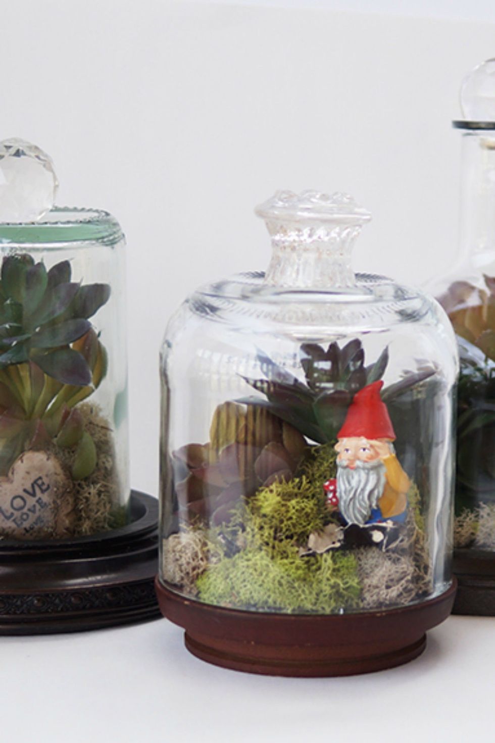 Aquarium, Mason jar, Glass, Houseplant, Tree, Glass bottle, Aquarium decor, Room, Plant, Cookie jar, 