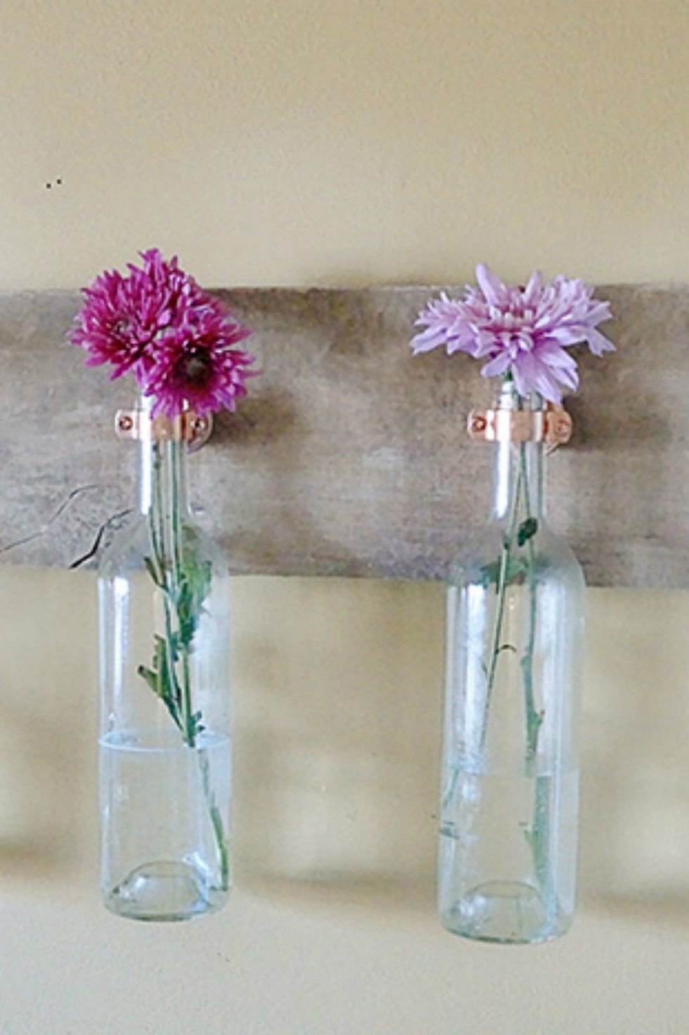 Vase, Mason jar, Flower, Pink, Plant, Cut flowers, Purple, Glass bottle, Glass, Test tube, 