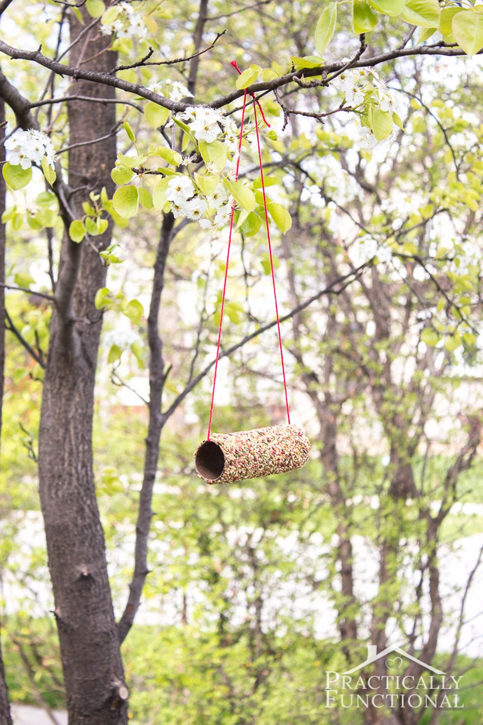 bird feeder toilet paper roll craft