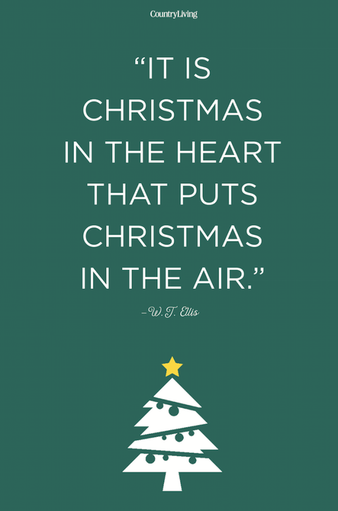 Text, Font, Christmas tree, Green, Christmas eve, Tree, Poster, Colorado spruce, Illustration, Christmas decoration,