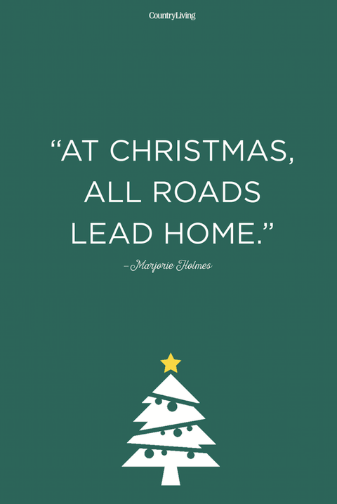 Text, Green, Font, Christmas tree, Christmas eve, Tree, Organism, Poster, Illustration, Graphic design,