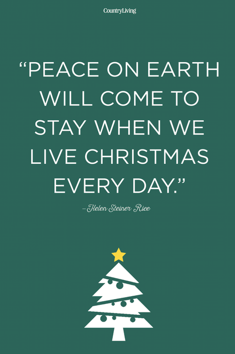 Text, Font, Green, Christmas tree, Tree, Christmas eve, Poster, Illustration,