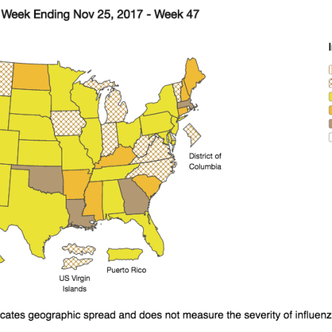 flu cases map