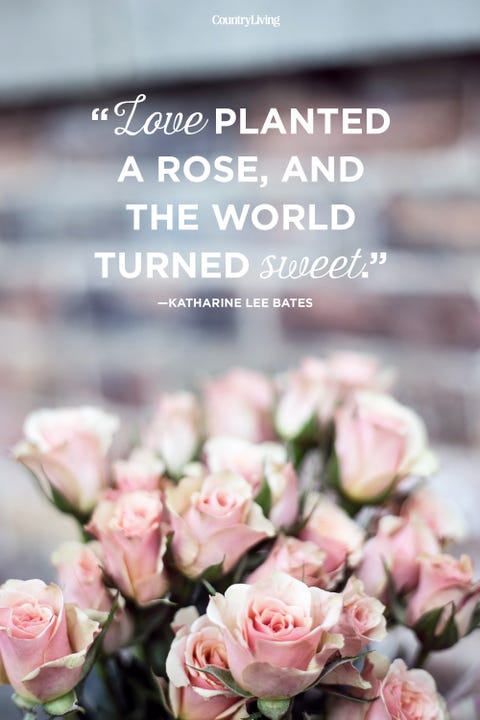 60 Romantic Valentine's Day Quotes Cute Quotes About Relationships Inspiration Valentines Love Quotes 60 Romantic Valentine's Day Quotes Cute Quotes About Relationships Inspiration Valentines Love Quotes