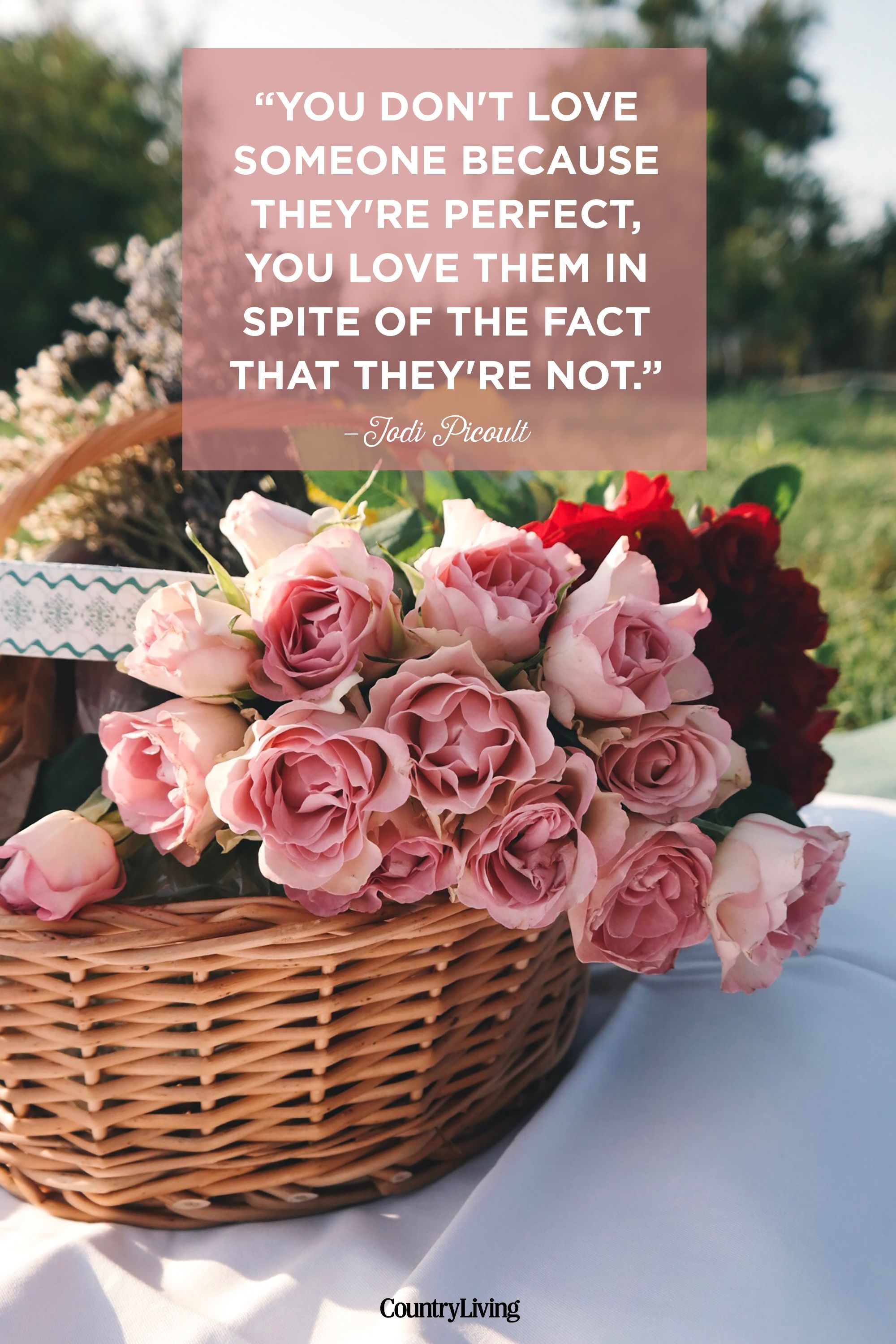 25 Romantic Valentines Day Quotes Cute Quotes About Relationships