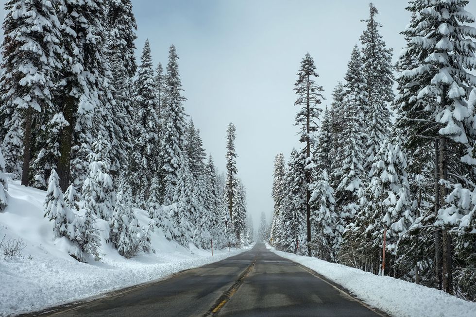 Snow, Winter, Tree, Freezing, Sky, Frost, Atmospheric phenomenon, Natural environment, Road, Woody plant, 