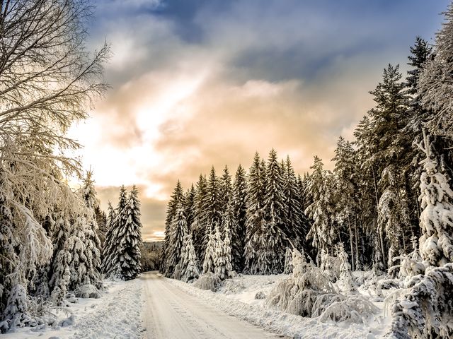 Snow, Winter, Sky, Tree, Nature, Natural landscape, Freezing, Cloud, Frost, Light, 