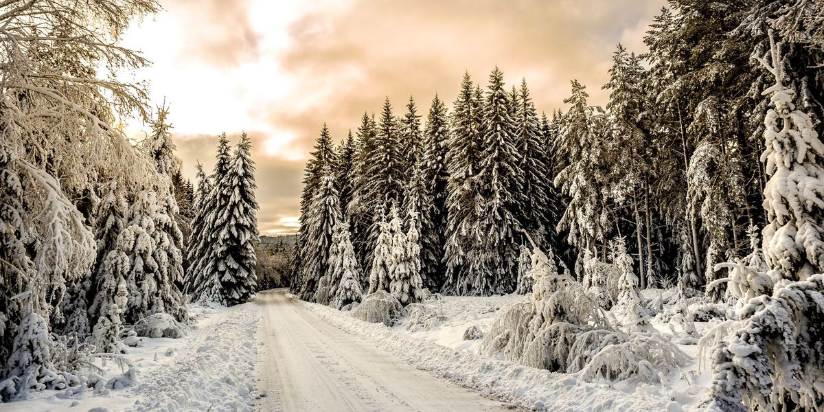 Winter Pictures Breathtaking Photos Of Winter Landscapes