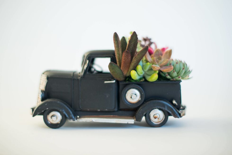 https://hips.hearstapps.com/clv.h-cdn.co/assets/17/51/2560x1708/truck-succulent-planter-etsy.jpg?resize=980:*