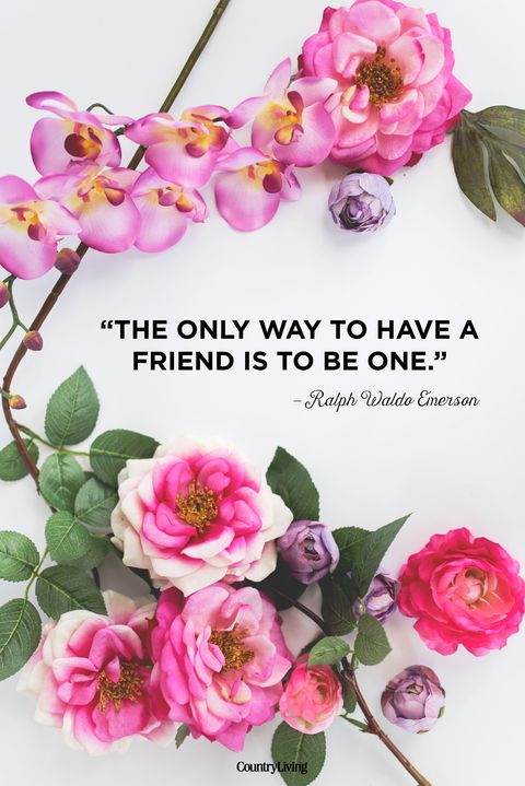 10 Cute Friendship Quotes Short Sayings About Friendship