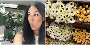 joanna gaines fake flowers