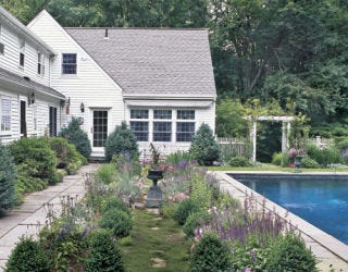 The backyard garden and pool