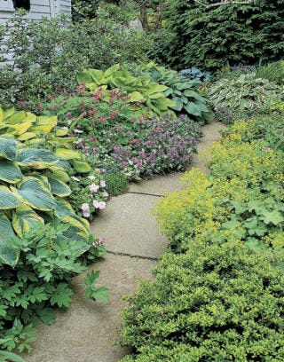 Flagstone walkway to front door