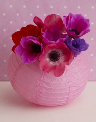 pink flowers