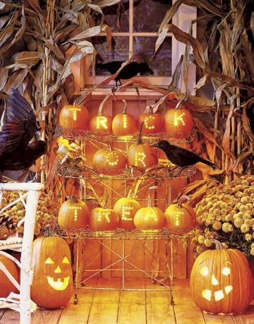 carved pumpkins on a rack spelling out trick or treat