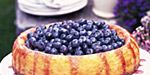 blueberry hill cheesecake with glaceed blueberries