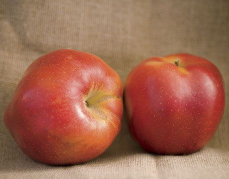spokane beauty apple