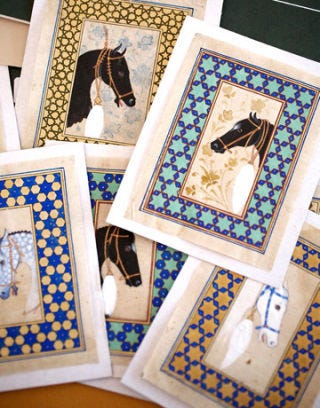 horse portraits