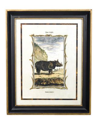boar framed print