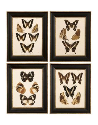 four butterfly prints