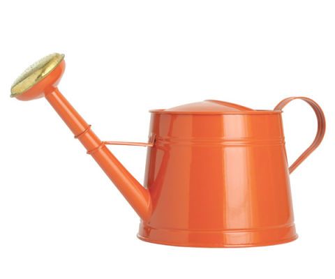 orange watering can