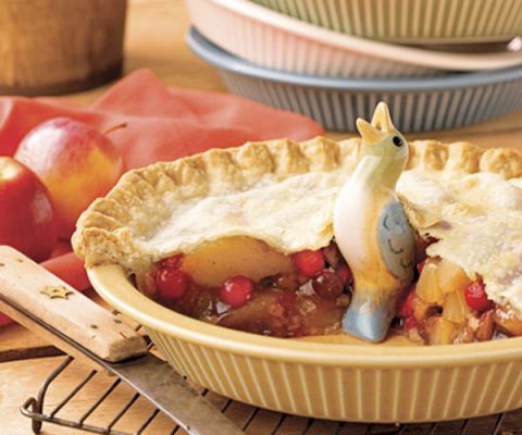 winter fruit pie
