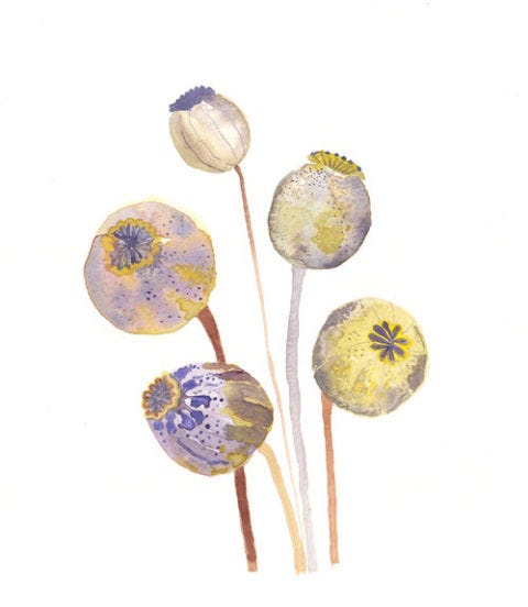 Purple, Violet, Lavender, Art, Botany, Paint, Illustration, Painting, Drawing, Art paint, 