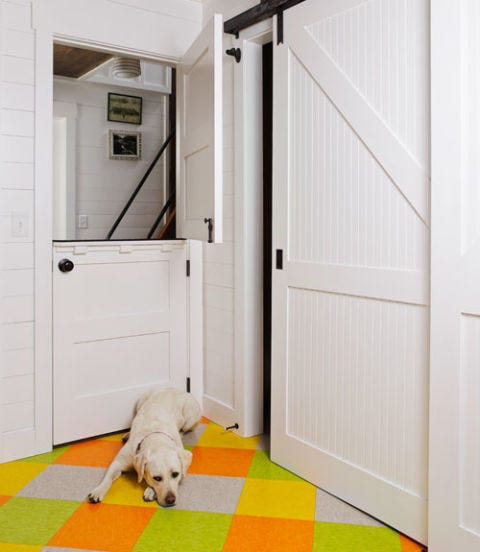 Wood, Carnivore, Floor, Dog breed, Property, Dog, Room, Flooring, Wall, Home door, 