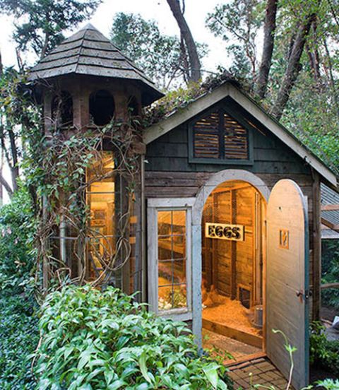 Best Chicken Coop Designs Most Amazing Chicken Coops