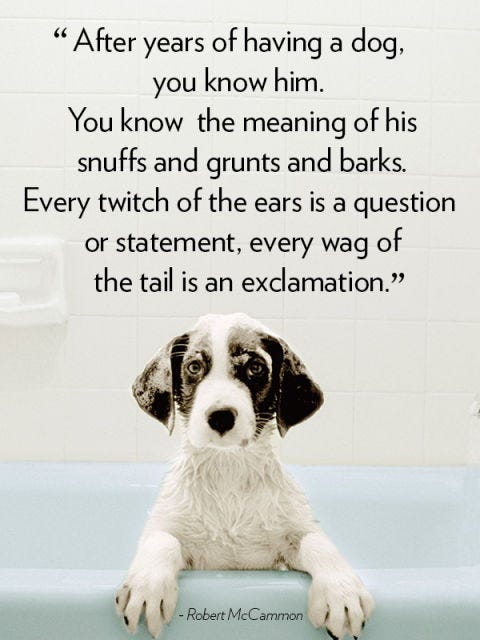 60 Cute Dog Love Quotes Puppy Sayings And Dog Best Friend Quotes Cool I Love My Dog Quotes 60 Cute Dog Love Quotes Puppy Sayings And Dog Best Friend Quotes Cool I Love My Dog Quotes