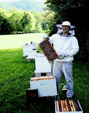 a beekeeper in a white outfit displaying bees from white hives