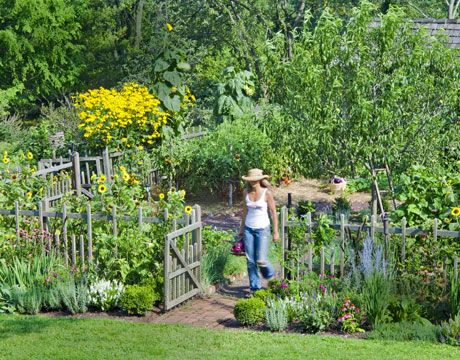 vegetable garden garden fence ideas