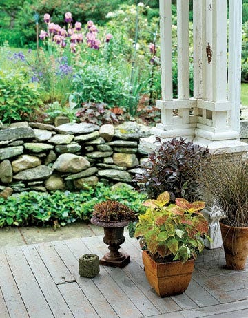 plant in pots on porch