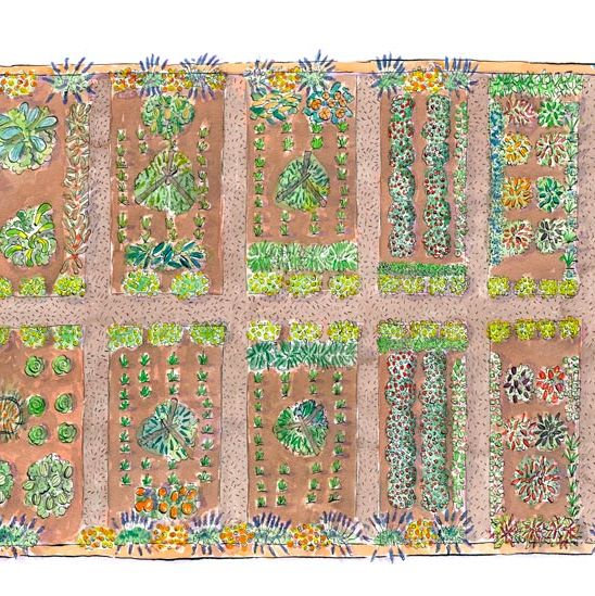 vegetable garden layout