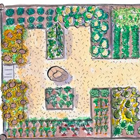 free kitchen garden plan