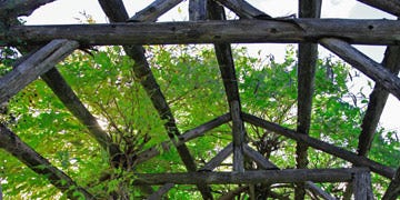 Country Garden For Less Money Gardening On A Budget Country Garden For Less Money