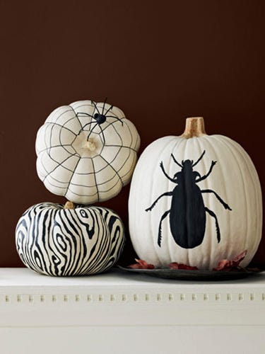 Black And White Painted Pumpkins Black And White Pumpkins