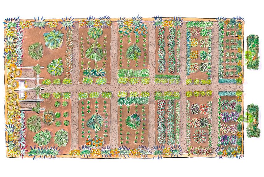 raised bed vegetable garden planner