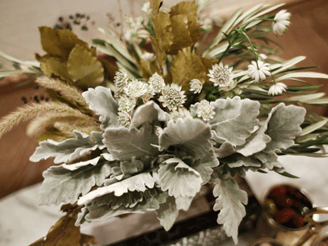 Botany, Natural material, Frost, Still life photography, Bouquet, 