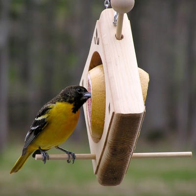 Best Handmade Etsy Finds Affordable Bird Feeders