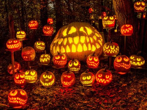 trick-or-treat, Lighting, Jack-o'-lantern, Lantern, Lighting accessory, Mid-autumn festival, Pumpkin, Plant, Nightlight, 