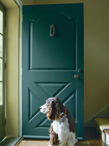 Dog breed, Carnivore, Dog, Teal, Fixture, Home door, Door, Sporting Group, Liver, Door handle, 