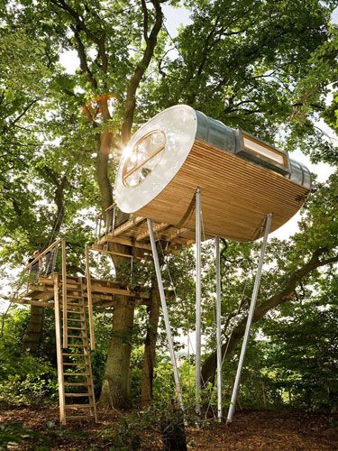 German Baumraum Treehouse Treehouse Tours