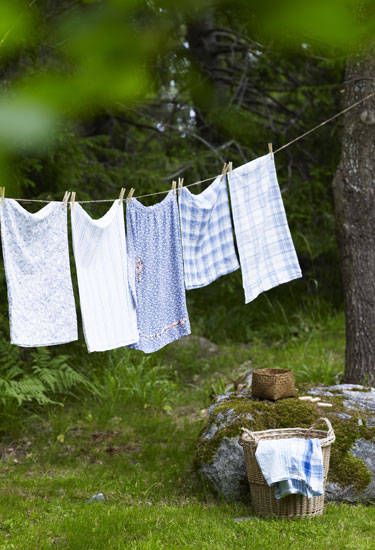 Laundry, Green, Tree, Grass, Linens, Textile, Wood, Plant, Tablecloth, Lawn, 