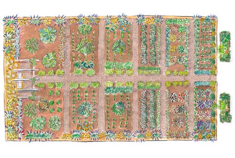 small vegetable garden design