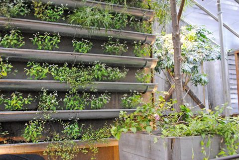 rain gutter vertical garden