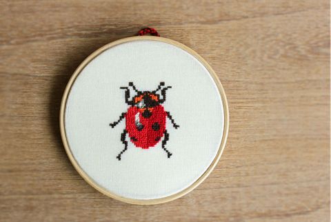 Invertebrate, Embroidery, Insect, Red, Arthropod, Carmine, Needlework, Pest, Coquelicot, Beige, 