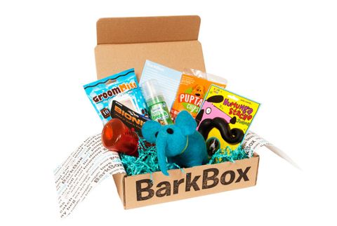 barkbox