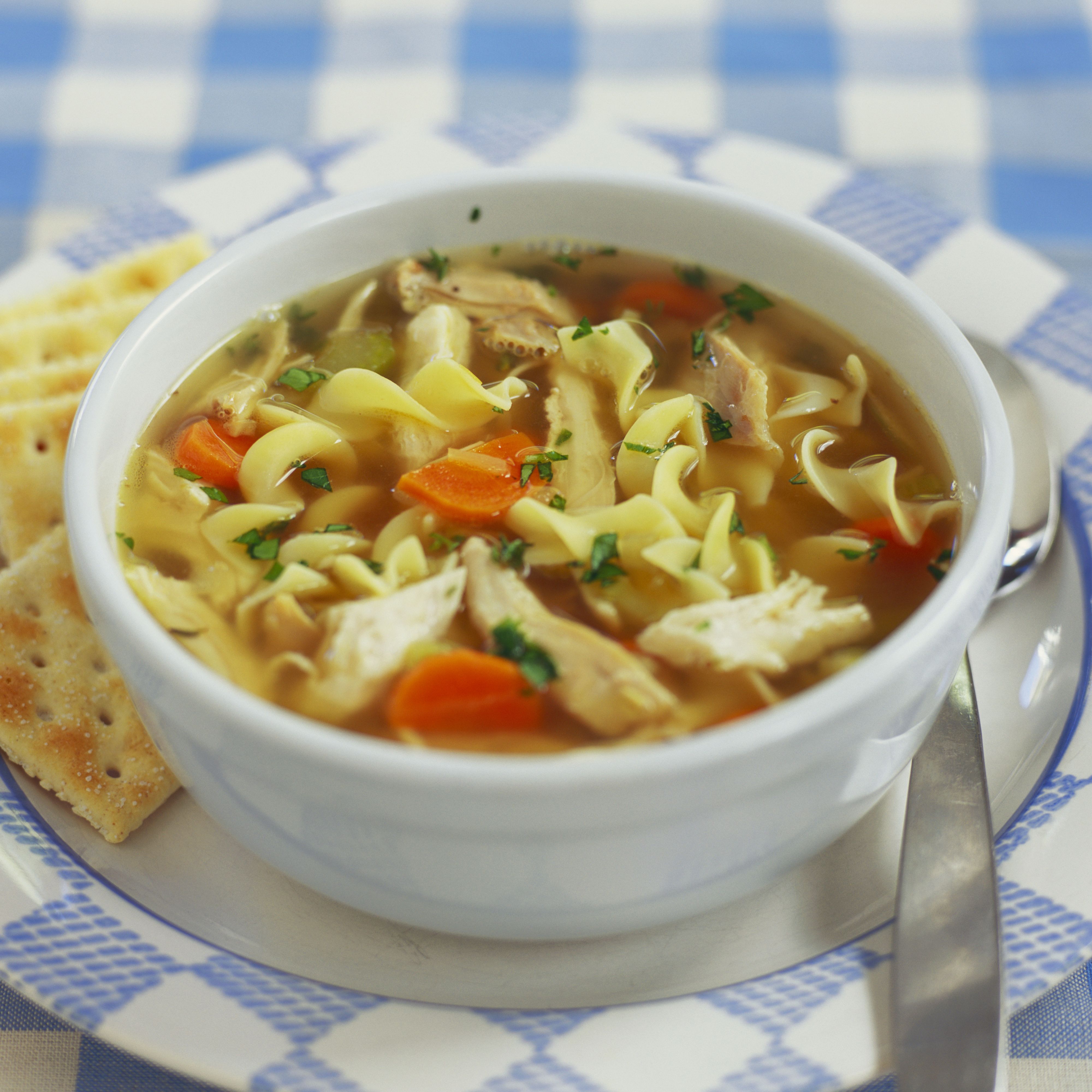 Best Homemade Chicken Noodle Soup